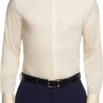 Slim Fit Stretch Twill Dress Shirt