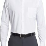 Regular Fit Poplin Solid Dress Shirt