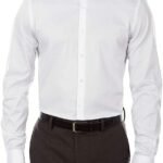 Slim Fit Flex Collar Stretch Solid Dress Shirt