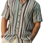 Striped Short Sleeve Summer Hawaiian Shirt